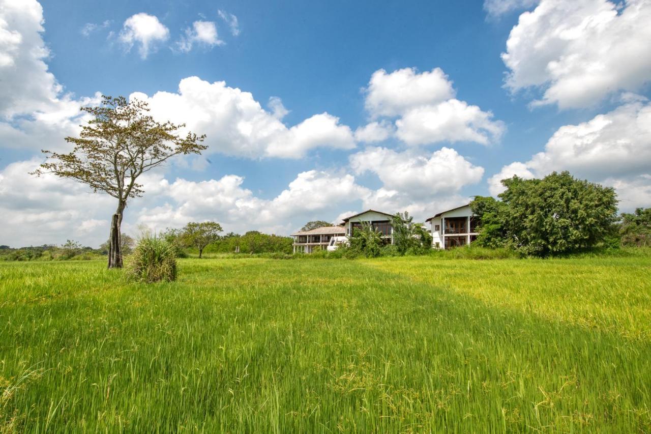 Ceylon Breeze Sigiriya Hotel Luaran gambar