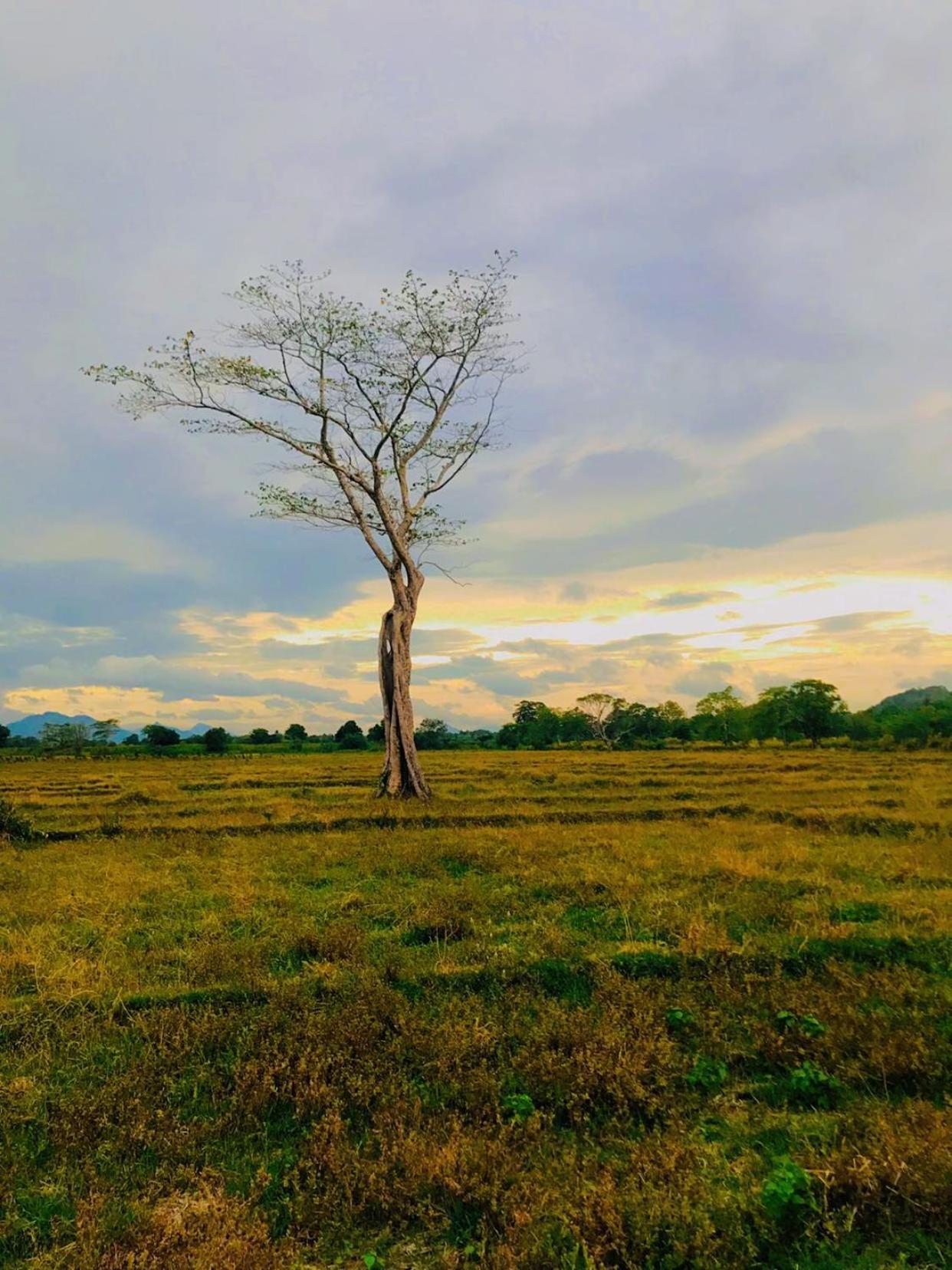 Ceylon Breeze Sigiriya Hotel Luaran gambar